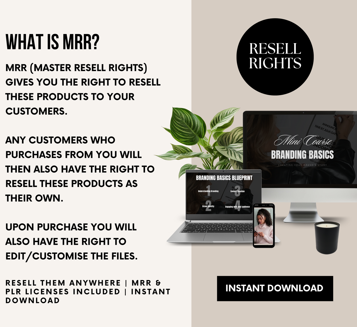 PLR/MRR Business Branding Mini Course