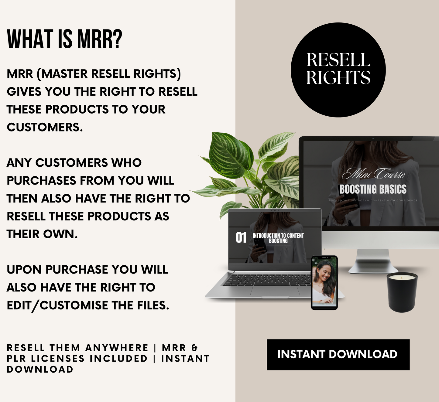 PLR/MRR Boosting Basics Instagram Mini Course