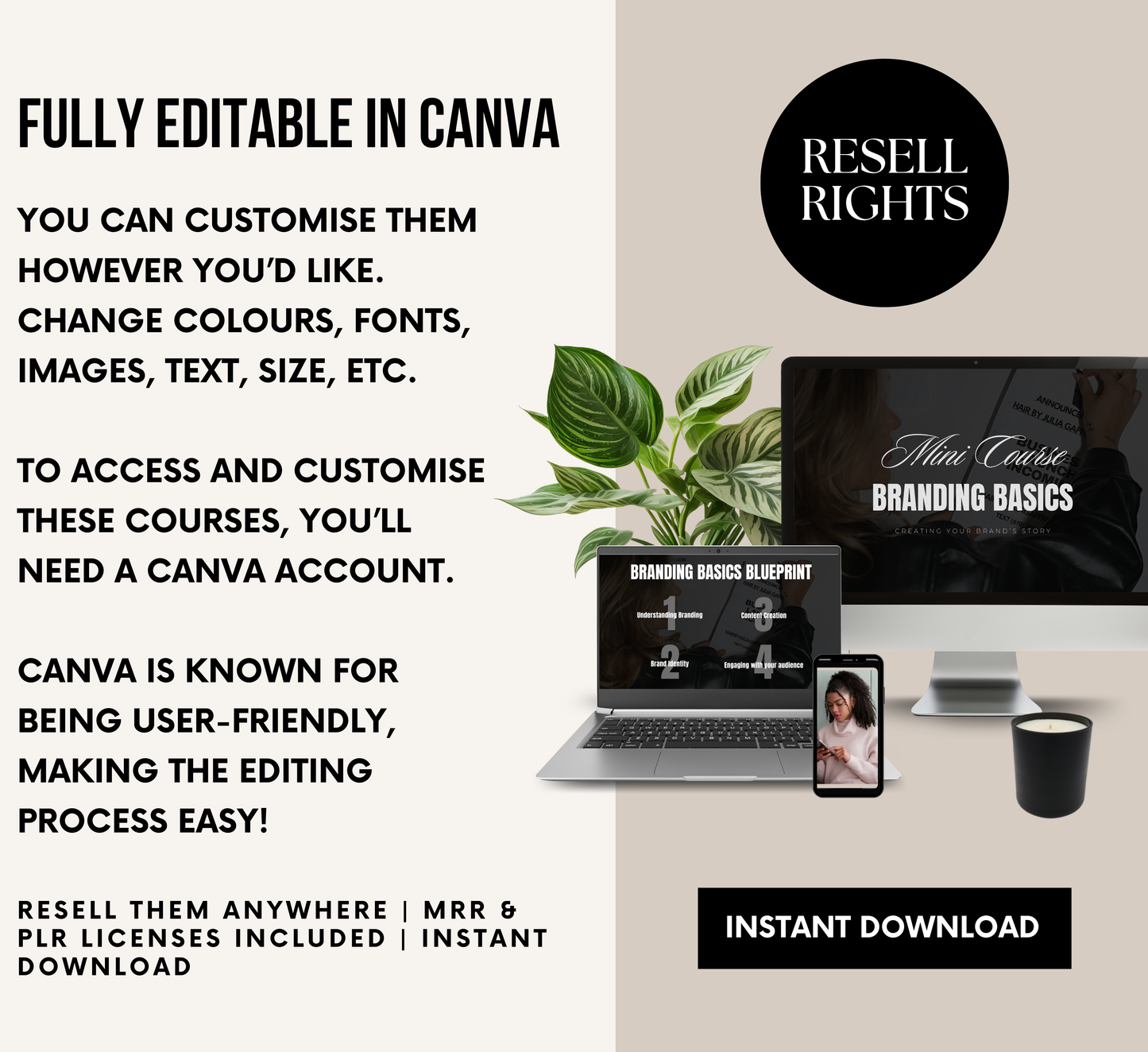 PLR/MRR Business Branding Mini Course