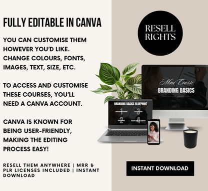 PLR/MRR Business Branding Mini Course