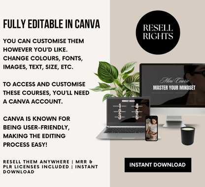 PLR/MRR Mindset Mastery Mini Business Course
