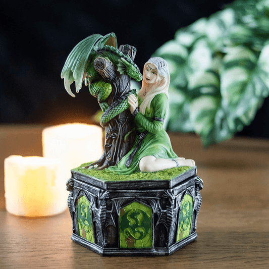 Dragon Friendship Summer Box by Anne Stokes