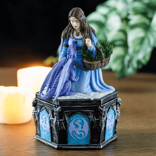 Dragon Friendship Winter Box by Anne Stokes
