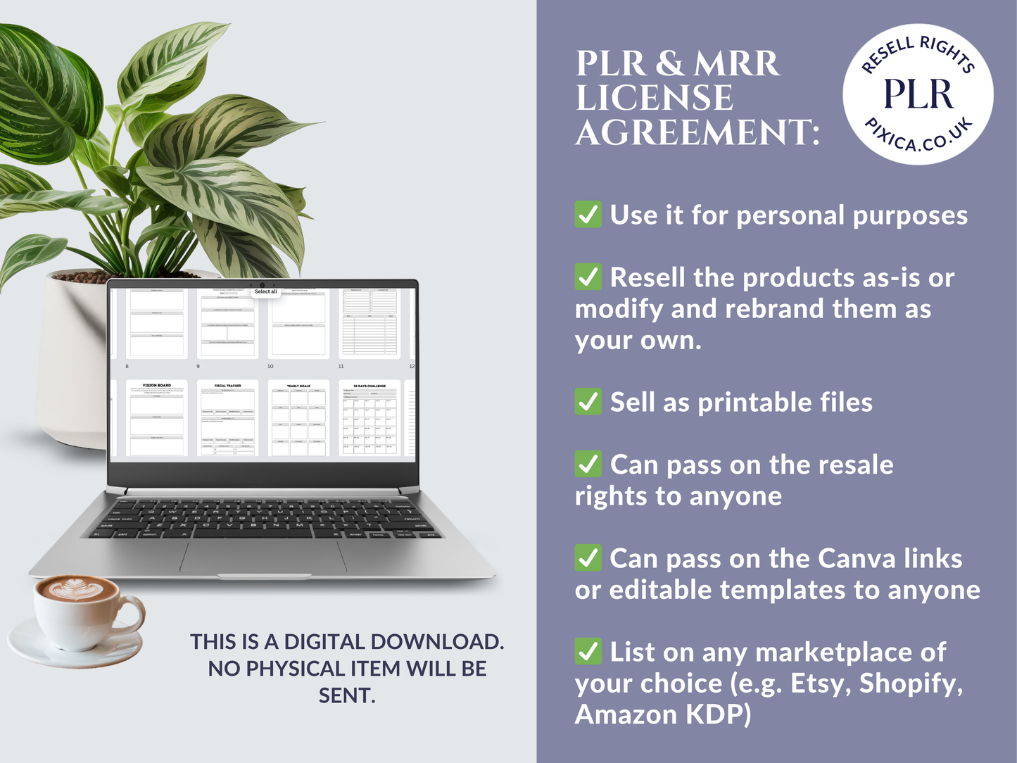 Laptop with a screen displaying text about PLR & MRR license agreement on a light gray background with a plant and coffee cup.