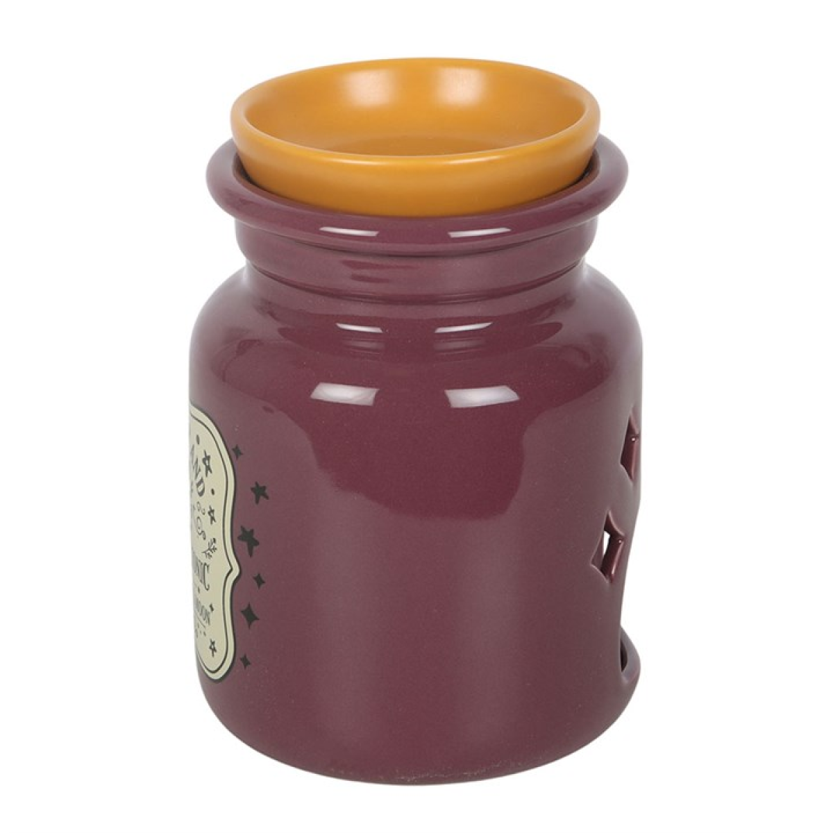 Mischief and Magic Potion Bottle Oil Burner & Wax Warmer