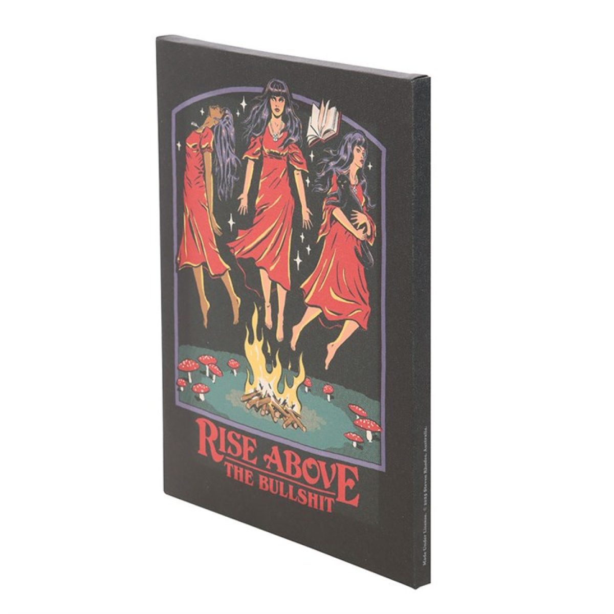 19x25cm Rise Above the Bullshit Canvas Plaque by Steven Rhodes