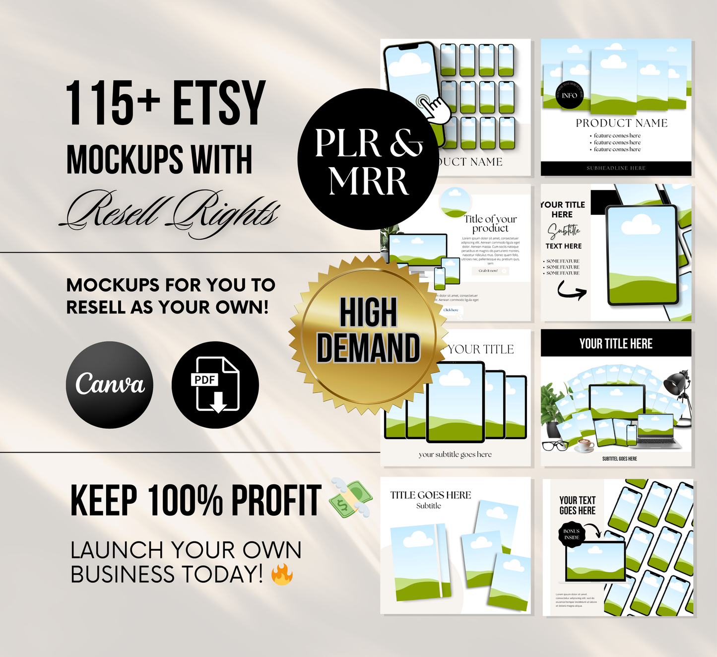 PLR/MRR 115 Etsy Listing Mockups