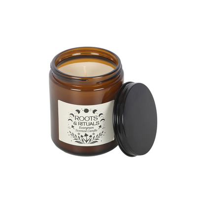 Roots & Rituals Evergreen Amber Glass Candle