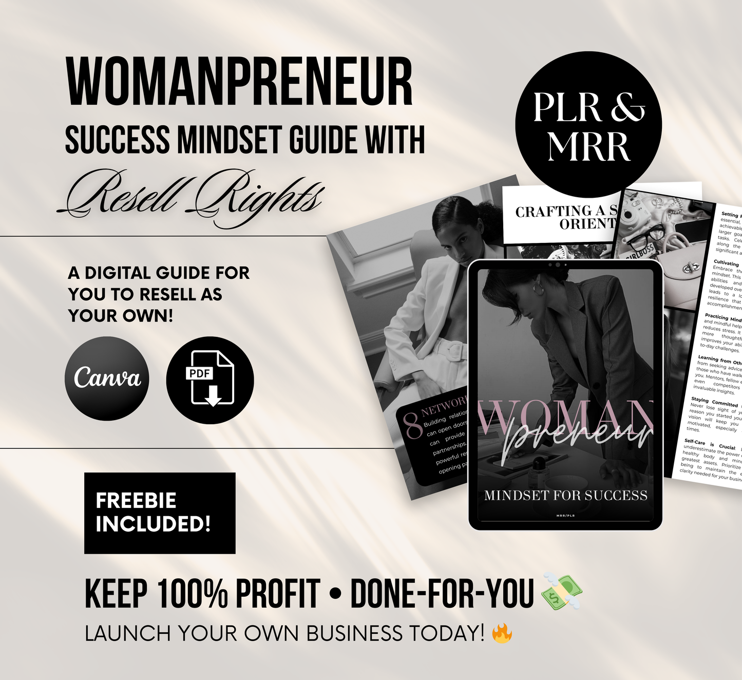 PLR/MRR Womanpreneur Success Mindset Guide