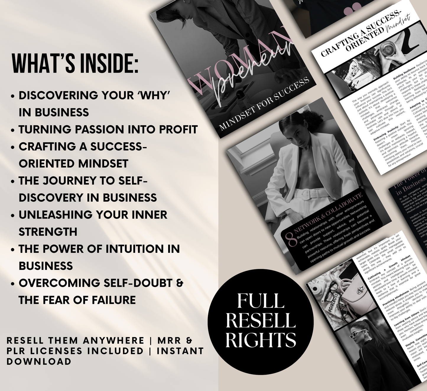 PLR/MRR Womanpreneur Success Mindset Guide