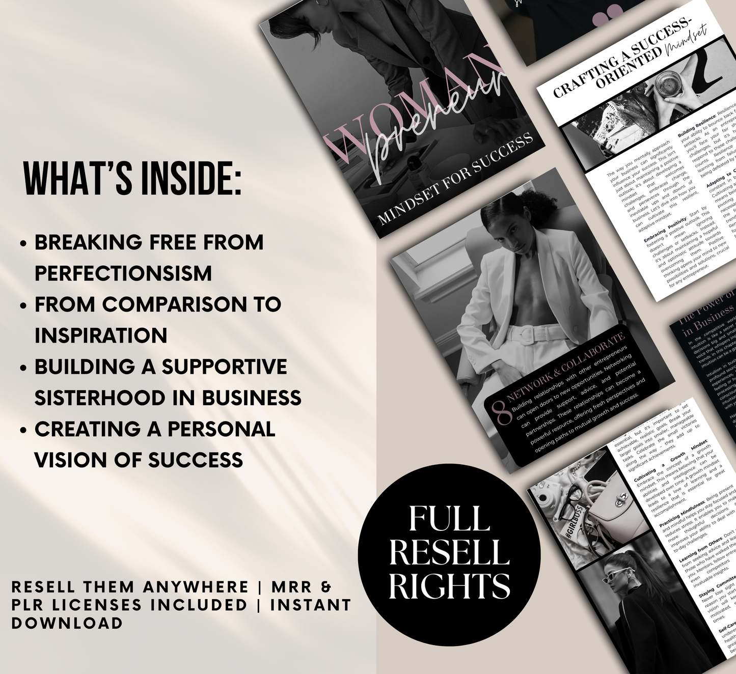 PLR/MRR Womanpreneur Success Mindset Guide