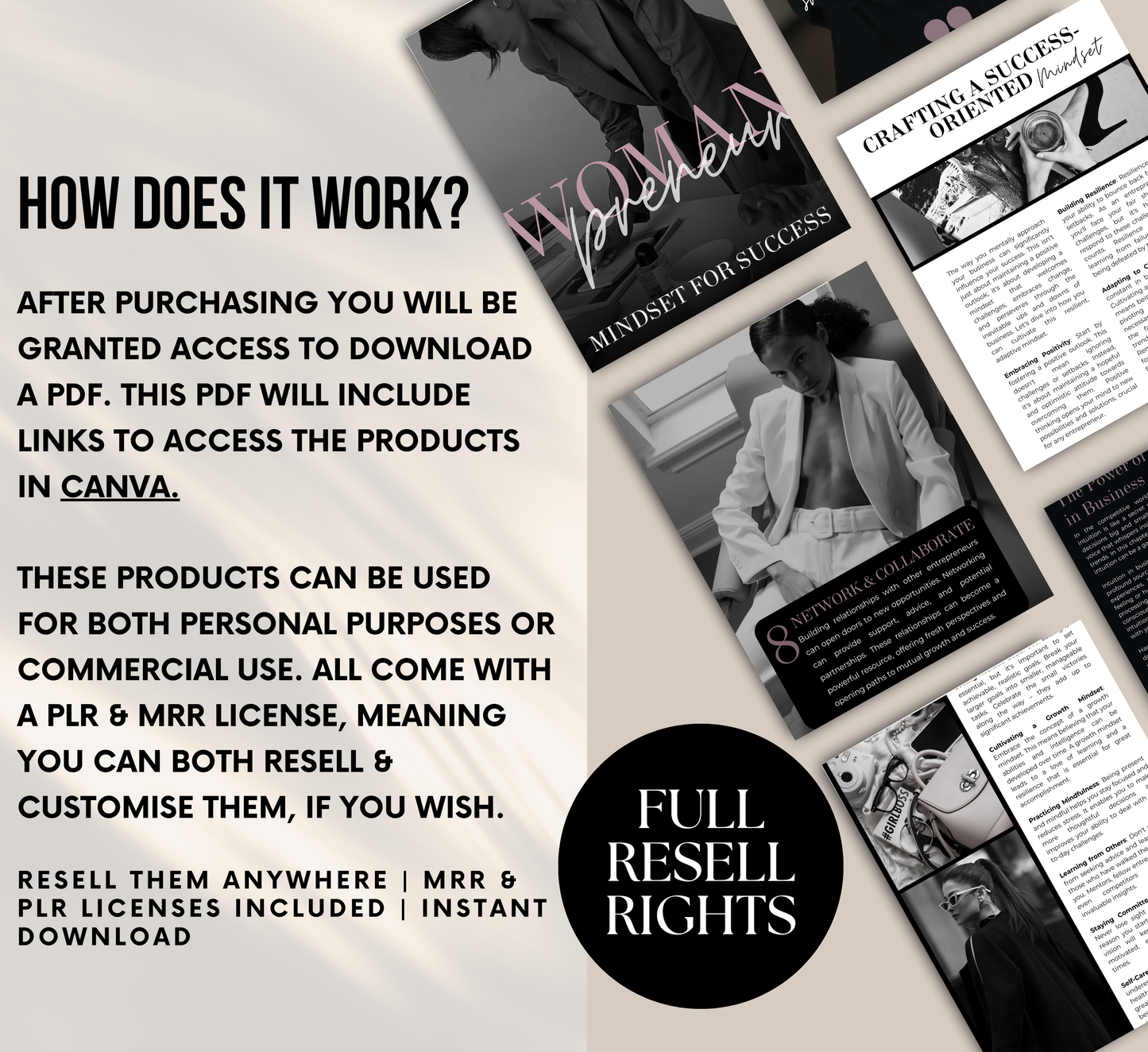 PLR/MRR Womanpreneur Success Mindset Guide