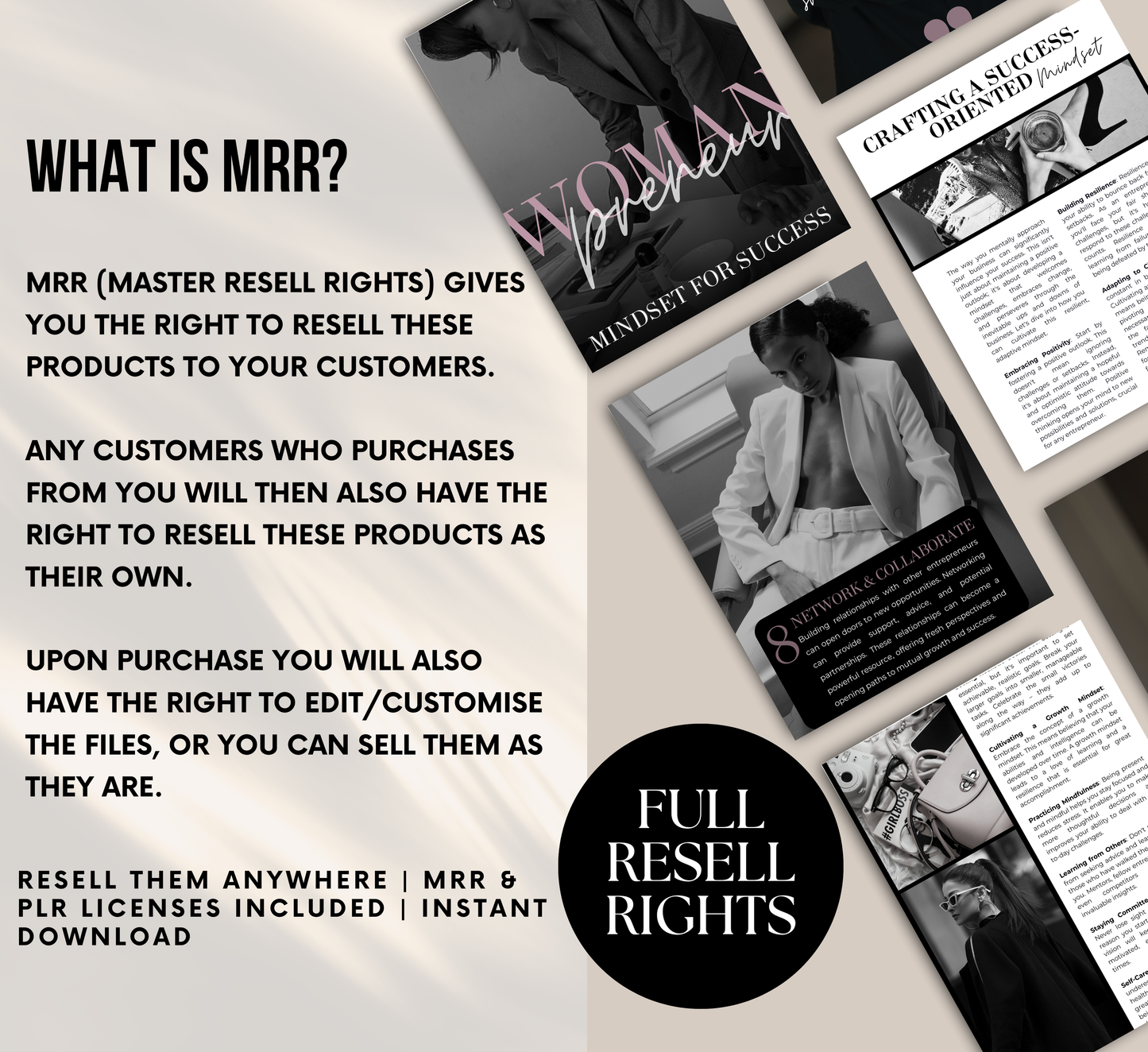 PLR/MRR Womanpreneur Success Mindset Guide