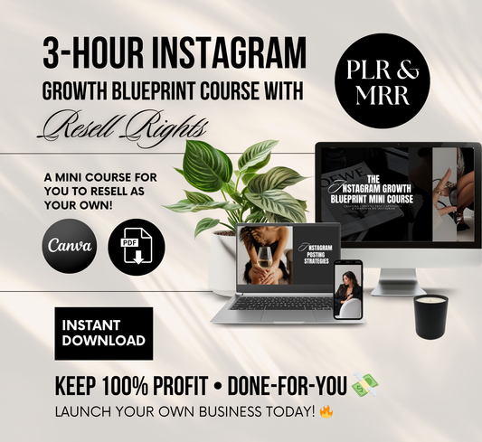 PLR/MRR Instagram Growth Blueprint Course