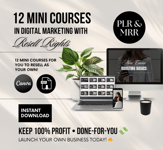 PLR/MRR 12 Mini Courses Digital Marketing