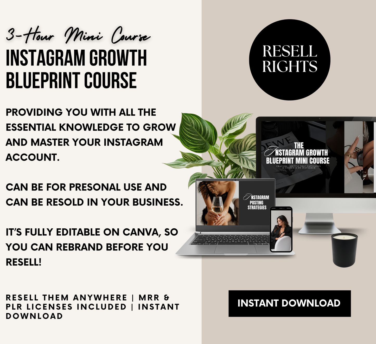 PLR/MRR Instagram Growth Blueprint Course