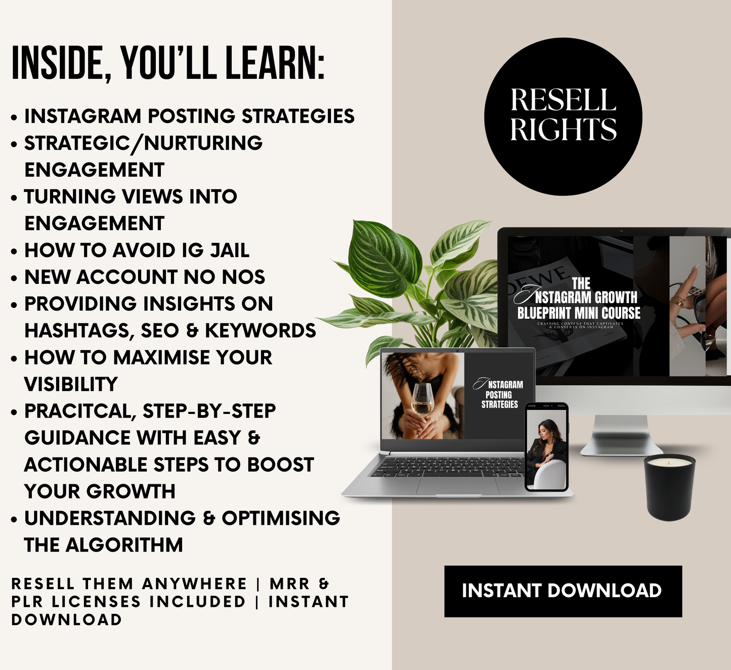 PLR/MRR Instagram Growth Blueprint Course