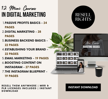 PLR/MRR 12 Mini Courses Digital Marketing