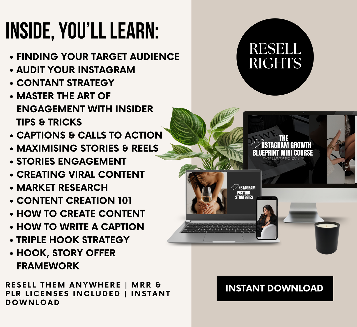 PLR/MRR Instagram Growth Blueprint Course