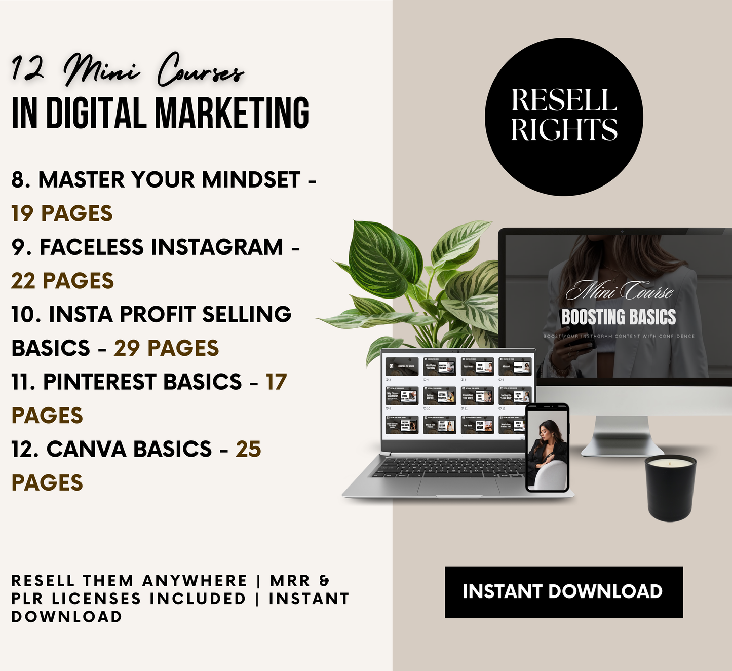 PLR/MRR 12 Mini Courses Digital Marketing