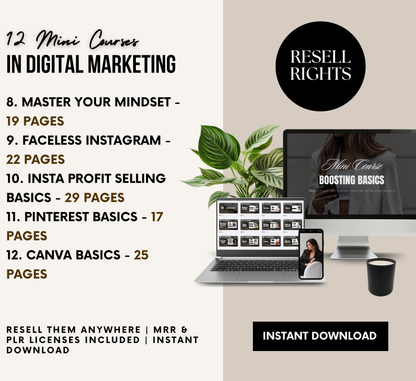 PLR/MRR 12 Mini Courses Digital Marketing