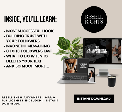 PLR/MRR Instagram Growth Blueprint Course