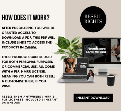PLR/MRR Instagram Growth Blueprint Course