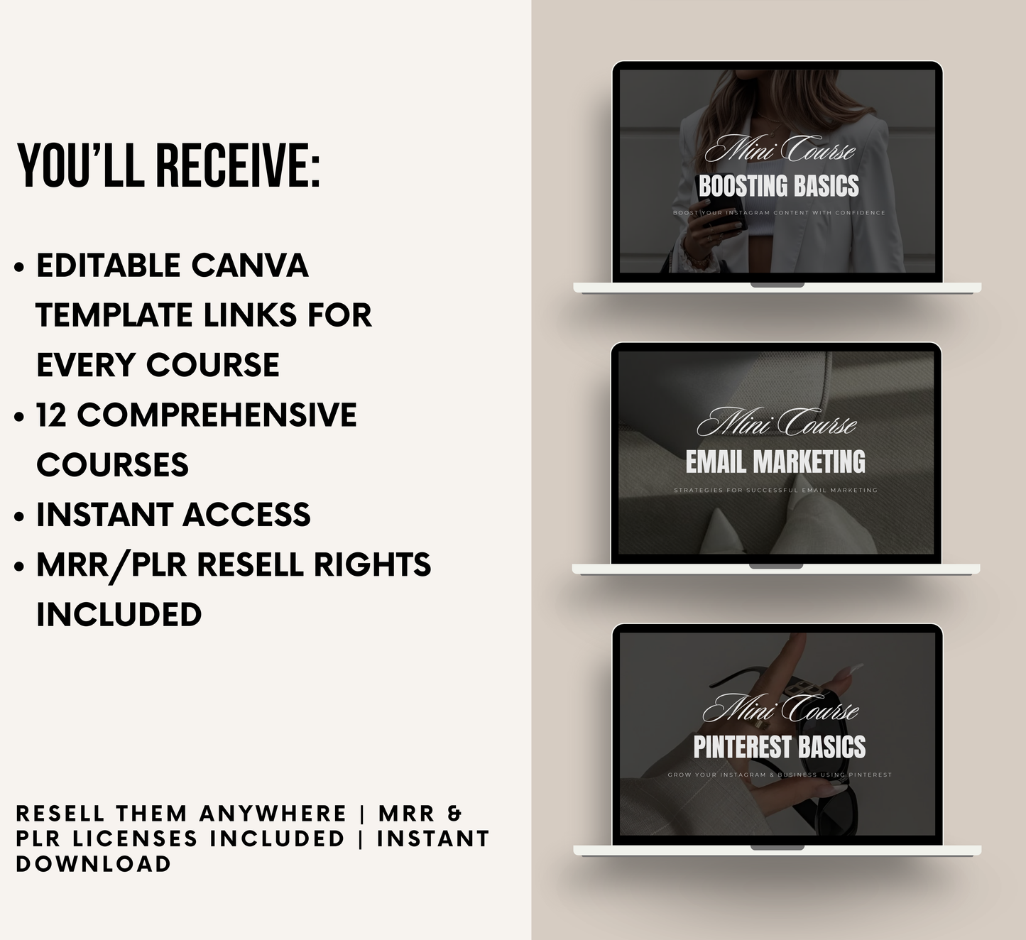 PLR/MRR 12 Mini Courses Digital Marketing