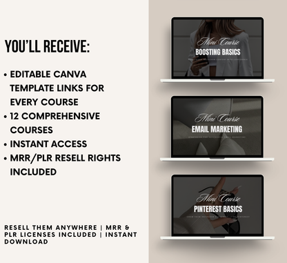 PLR/MRR 12 Mini Courses Digital Marketing