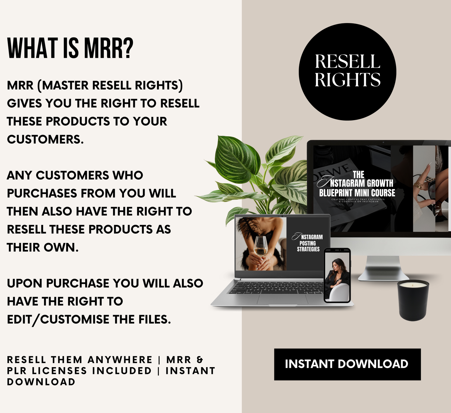 PLR/MRR Instagram Growth Blueprint Course