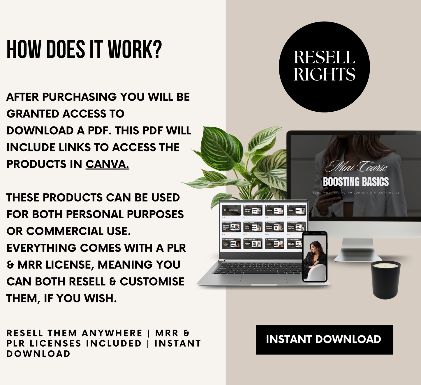PLR/MRR 12 Mini Courses Digital Marketing