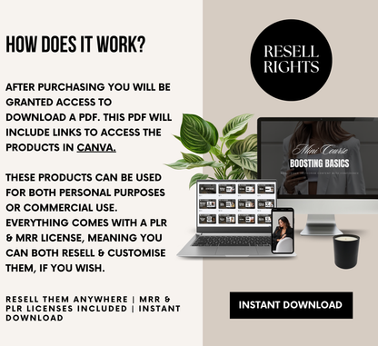 PLR/MRR 12 Mini Courses Digital Marketing