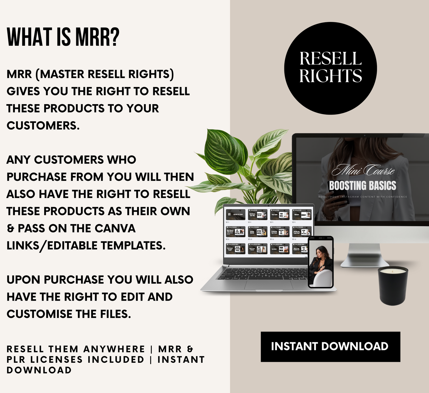 PLR/MRR 12 Mini Courses Digital Marketing