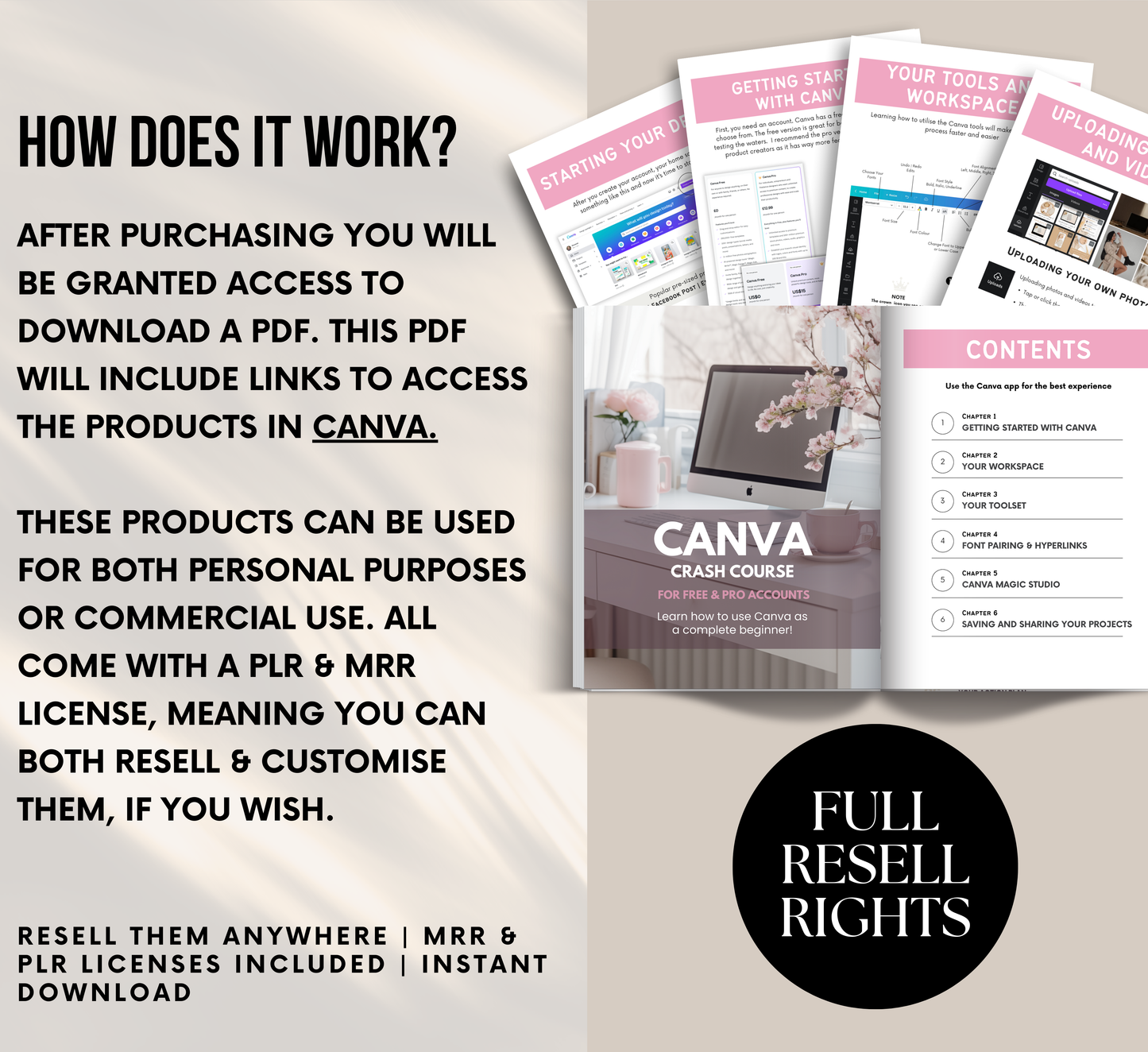 PLR/MRR Canva Crash Course | Learn How to Use Canva