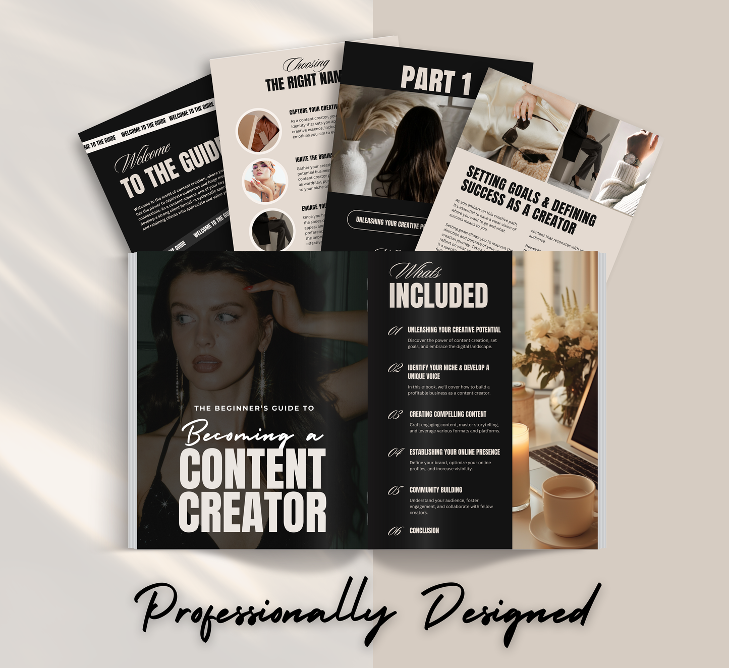 PLR/MRR Content Creator Guide For Beginners