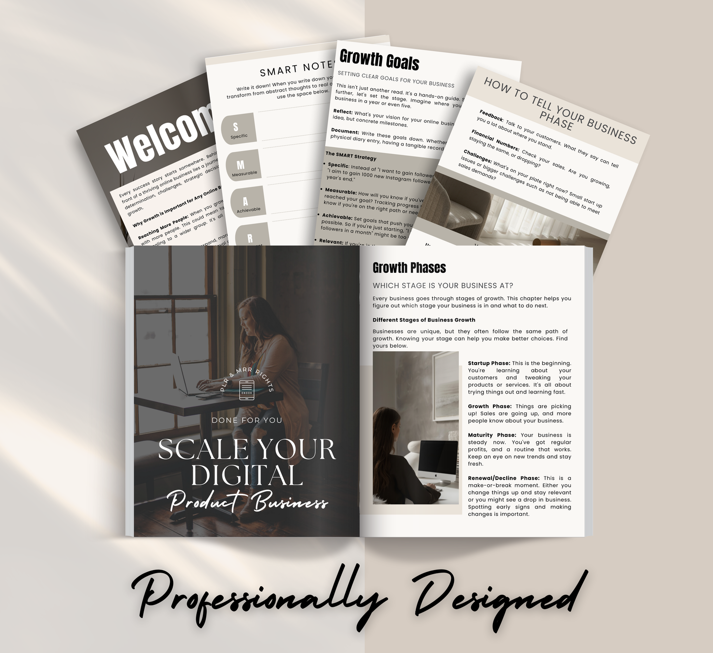 PLR/MRR Scale Your Digital Product Business Ebook
