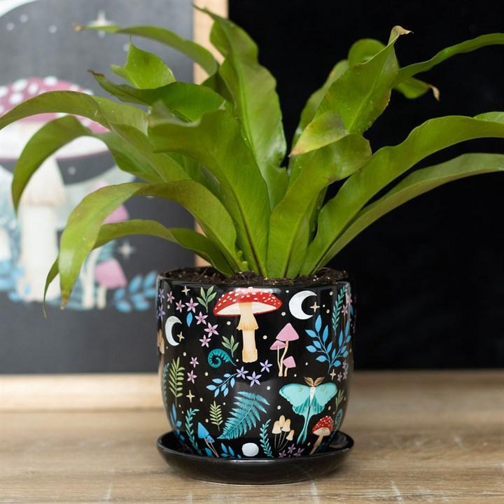 Small Dark Forest Ceramic Plant Pot & Saucer