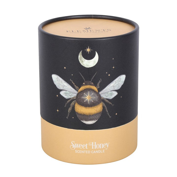 Forest Bee Sweet Honey Fragranced Glass Candle