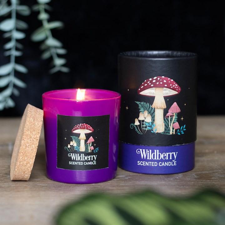 The Ultimate Witchy Candle Collection Variant #2