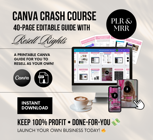 PLR/MRR Canva Crash Course | Learn How to Use Canva