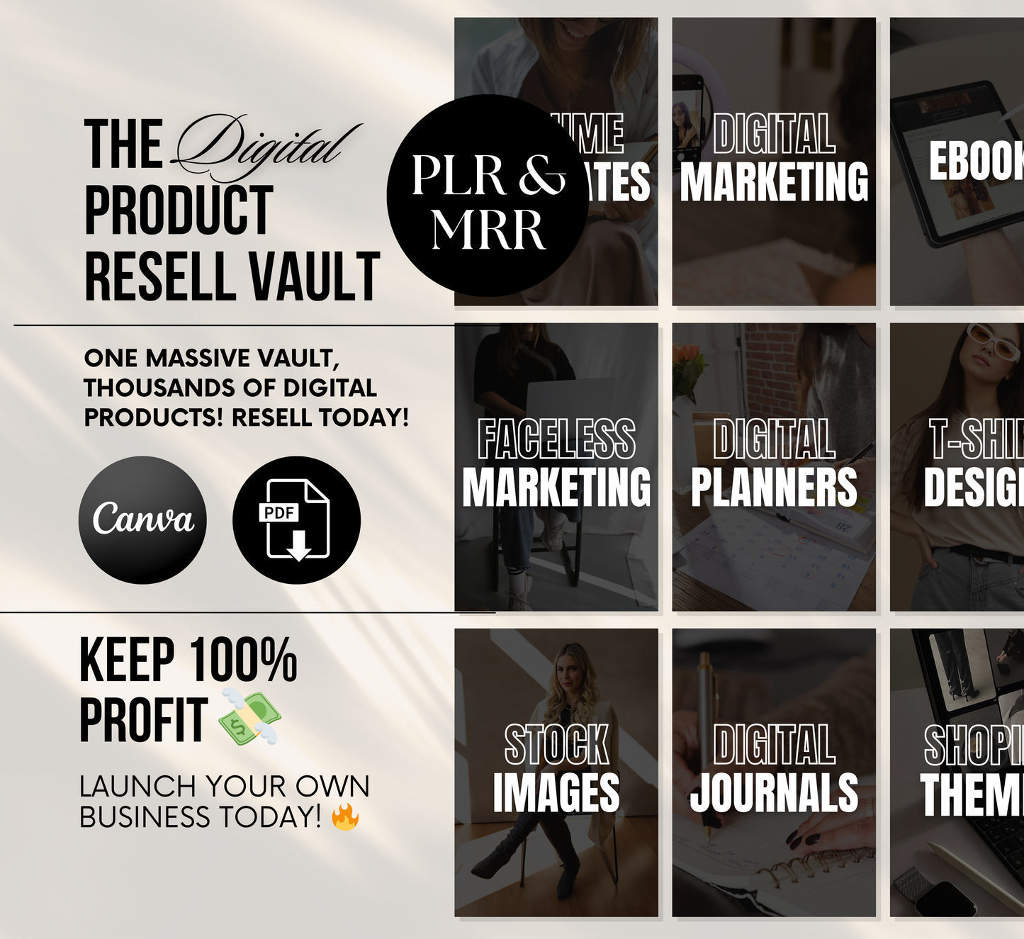 PLR/MRR 1000s Products Digital Product Vault