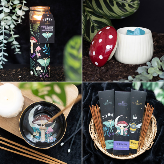 Enchanted Evenings Bundle