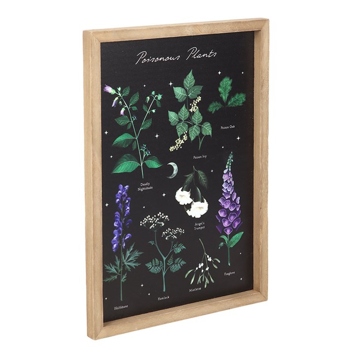 Poisonous Plants Framed Wall Art Print