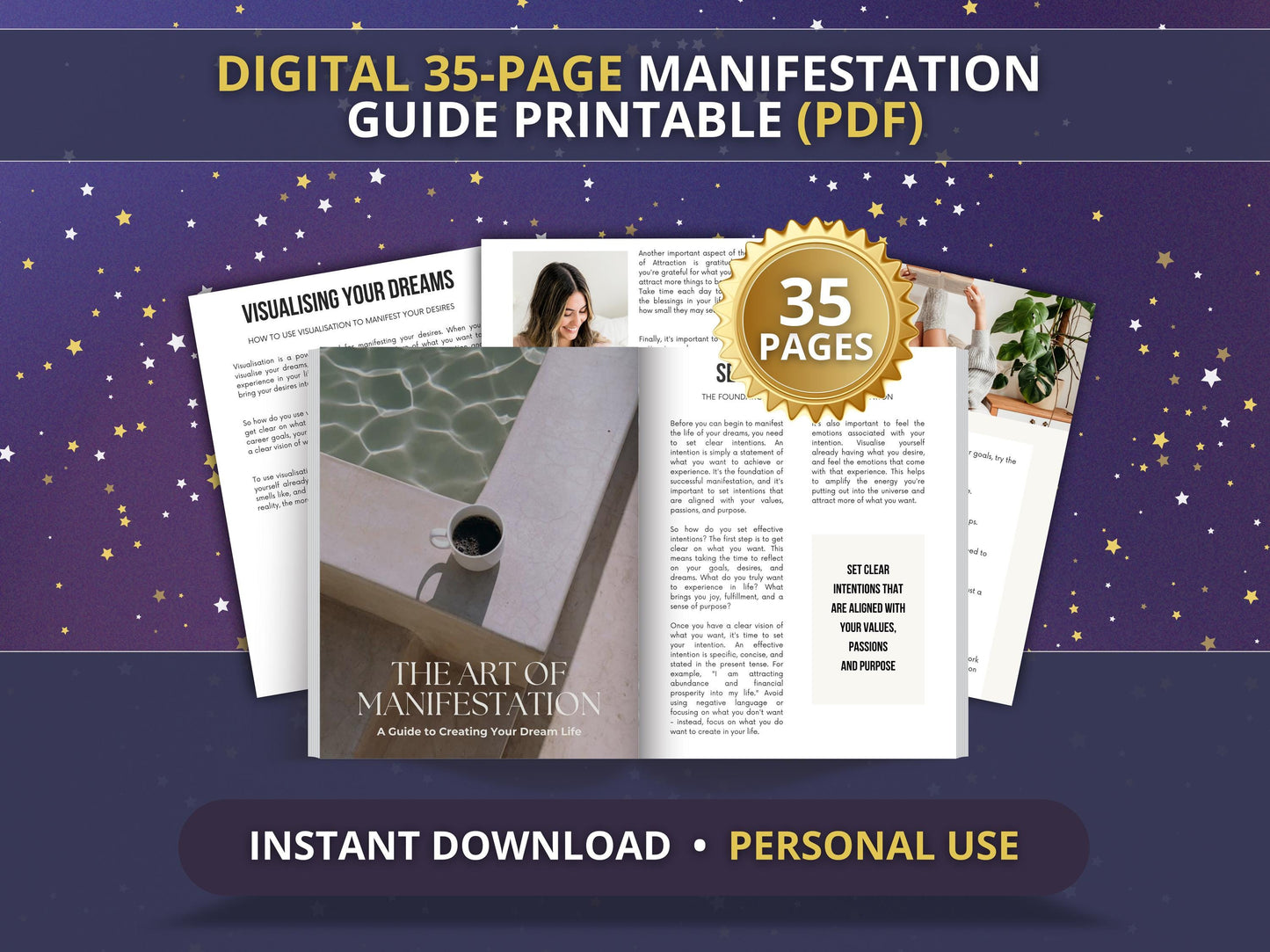 MRR Resell Digital Manifestation Guide Ebook