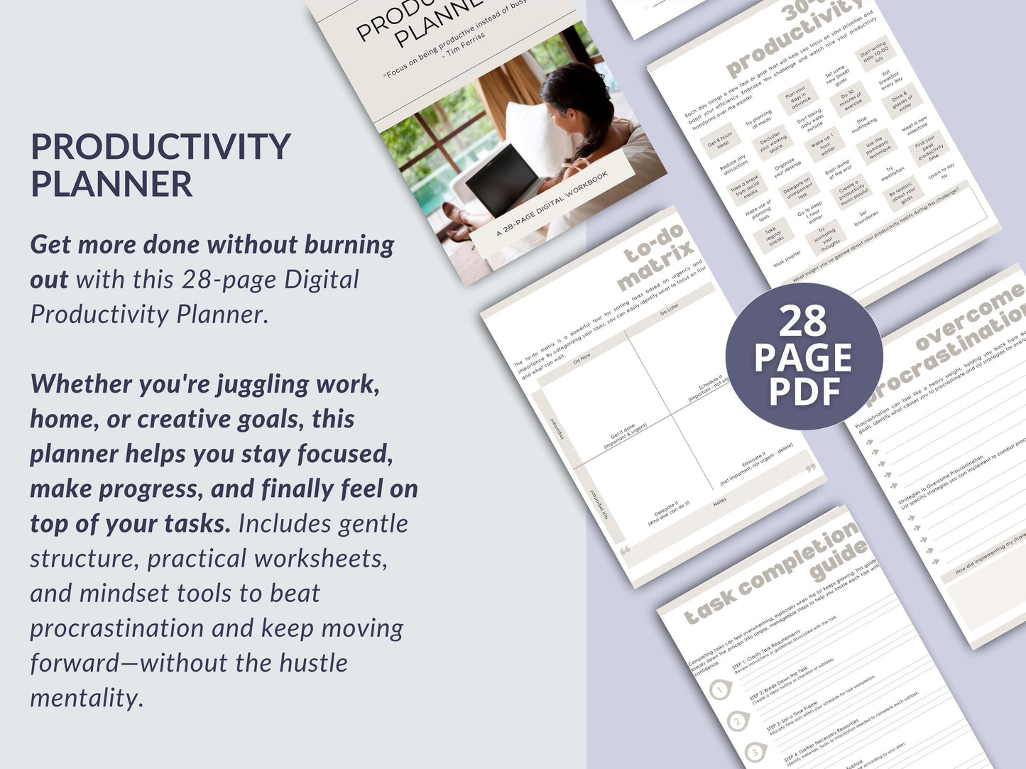 MRR Resell Digital Productivity Planner