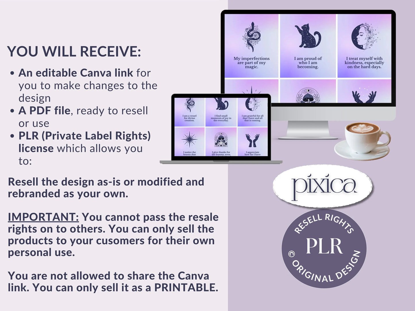 PLR 60 Digital Affirmation Cards #13