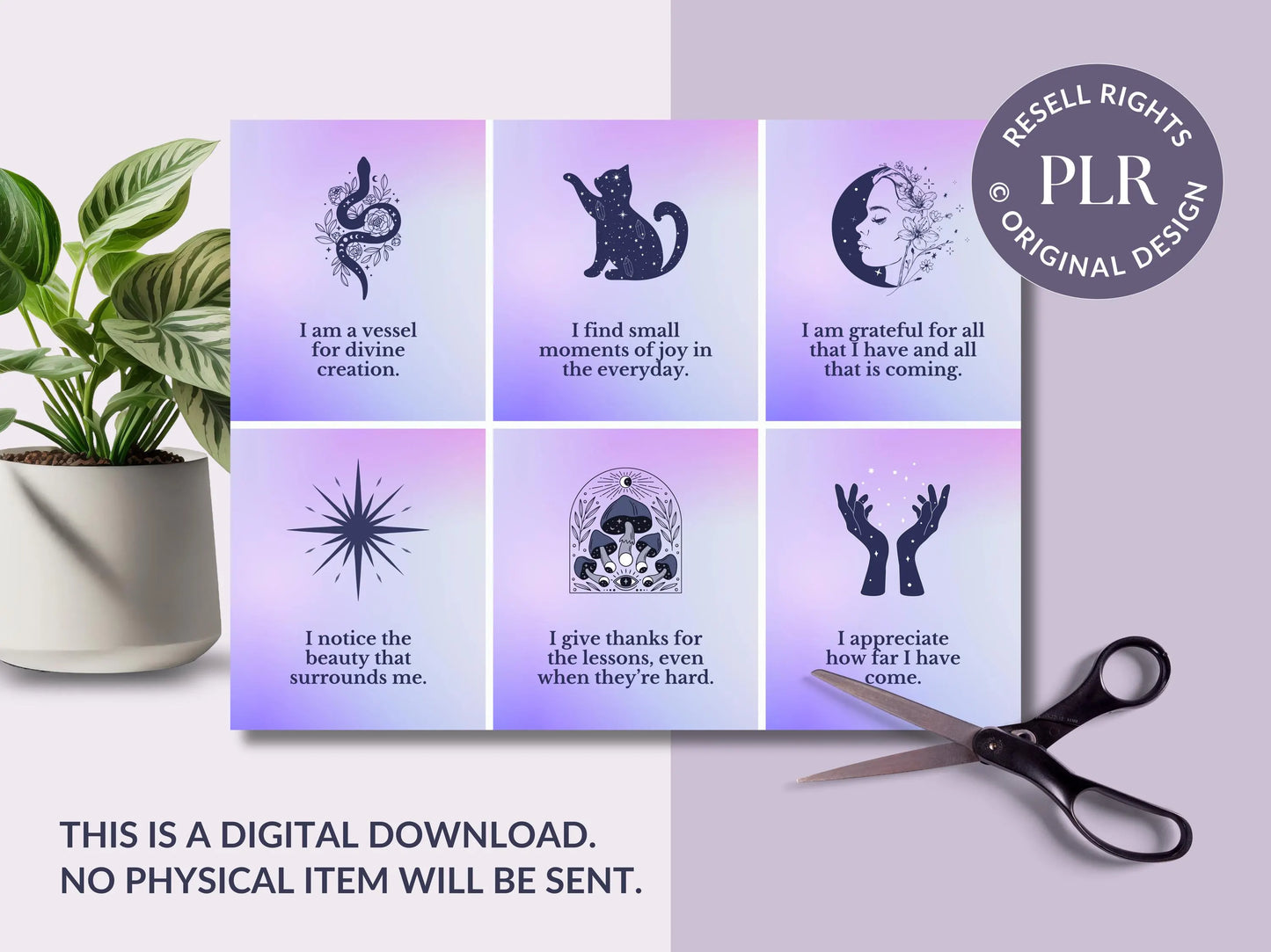 PLR 60 Digital Affirmation Cards #13
