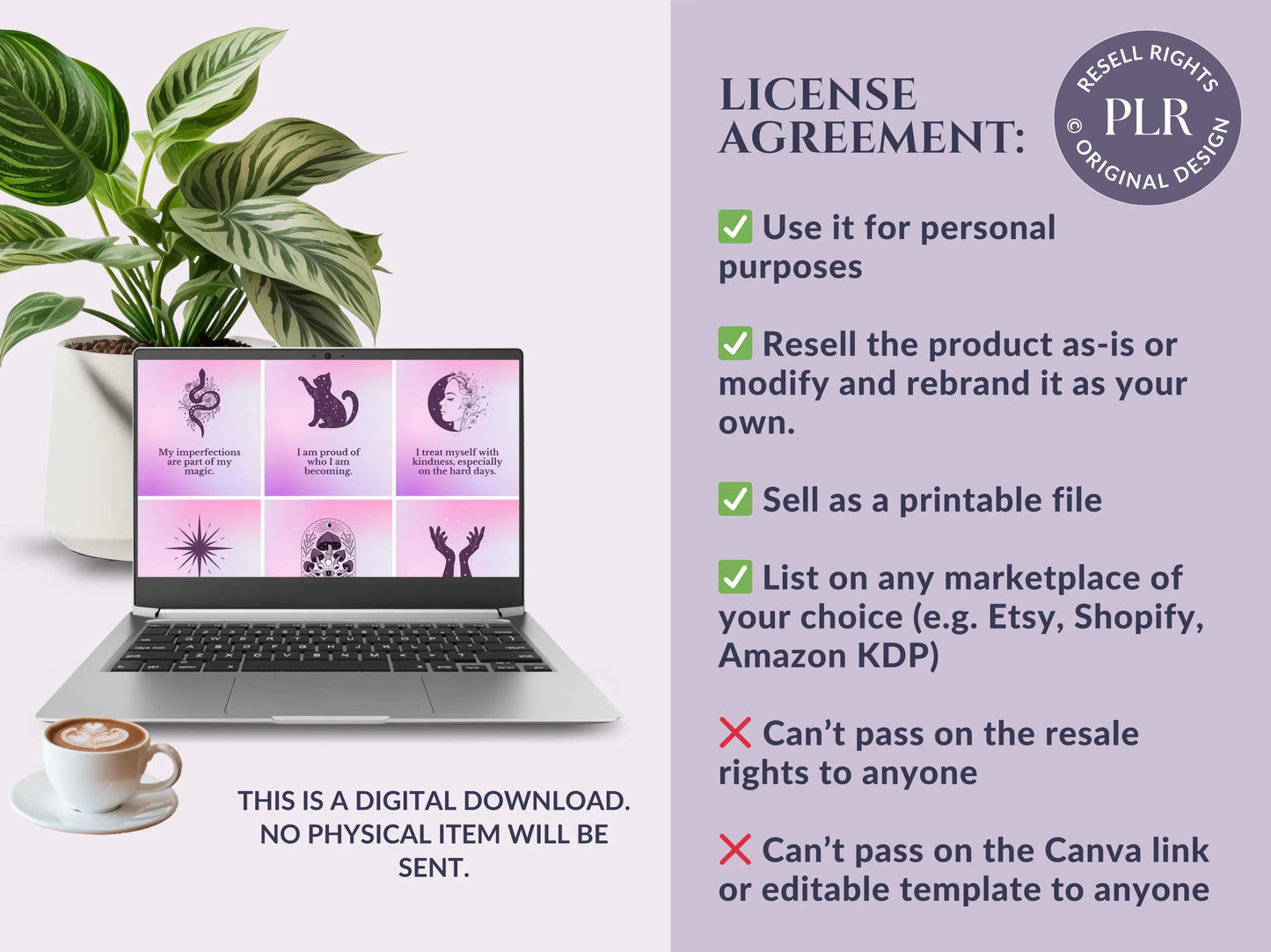 PLR 60 Digital Affirmation Cards #11