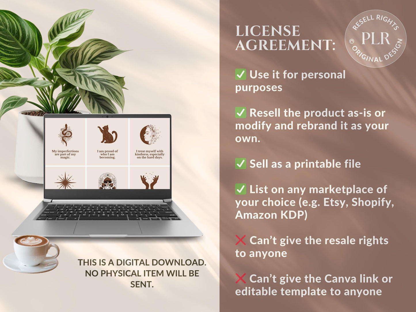 PLR 60 Digital Affirmation Cards #1