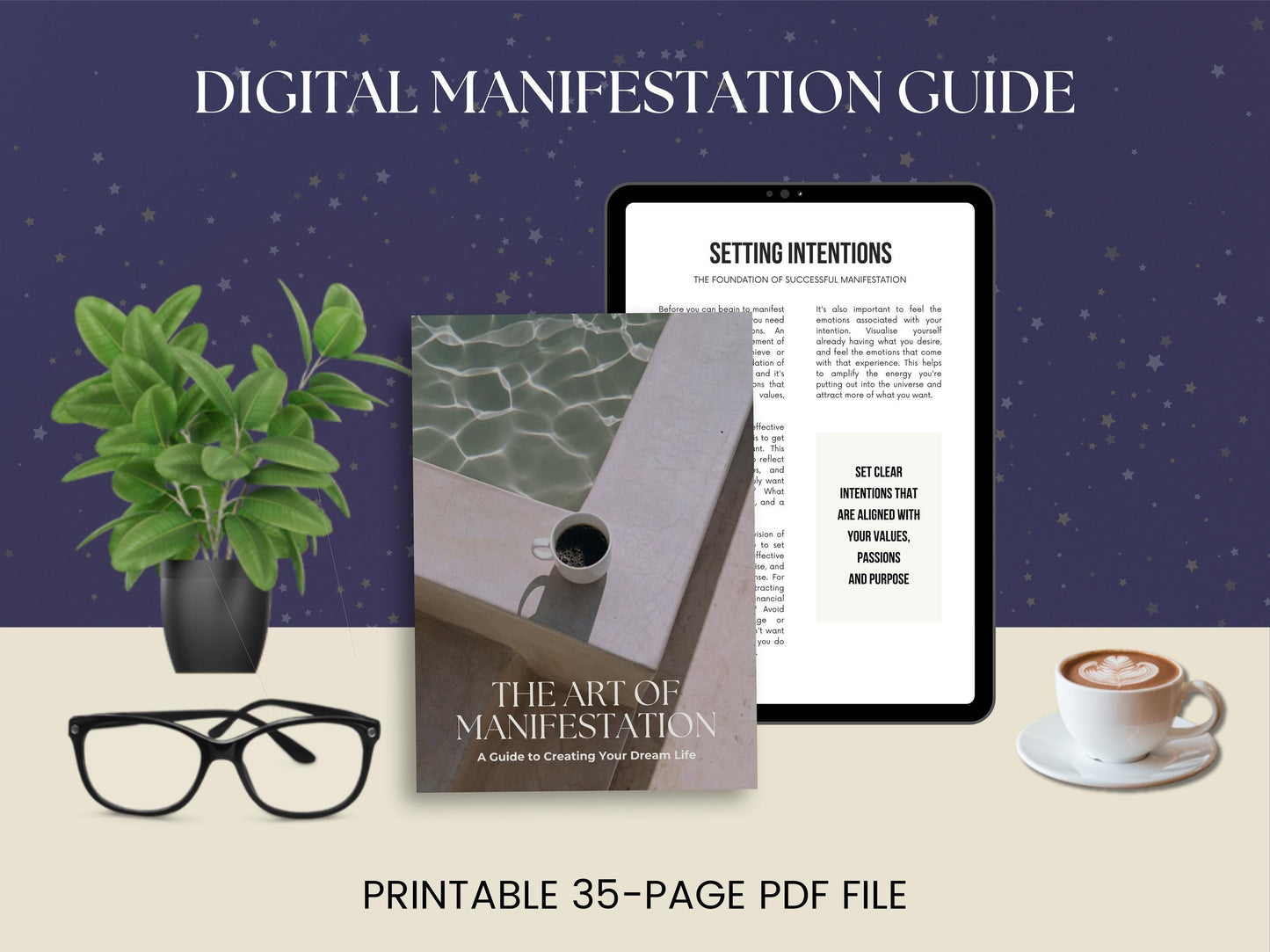 MRR Resell Digital Manifestation Guide Ebook